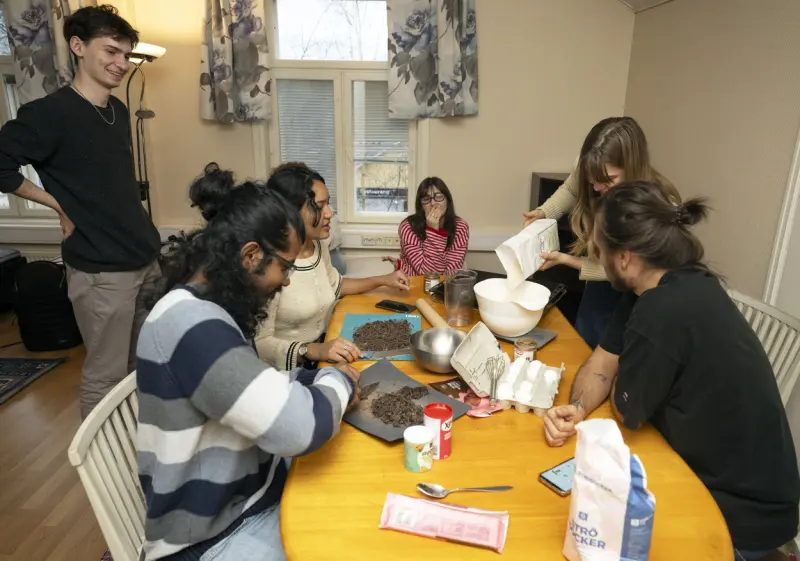 Nya vänner väntar runt hörnet