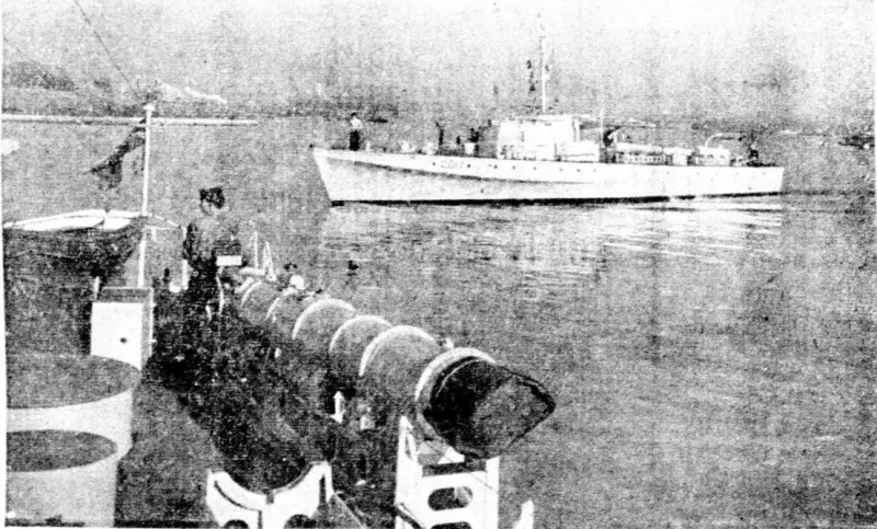 Hjärnskakning efter att pojkar lekt på vedtrave