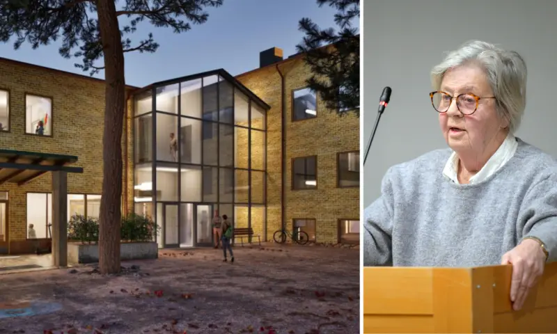 Nämndordförande: Svårt att veta vem som ansvarar för projektet