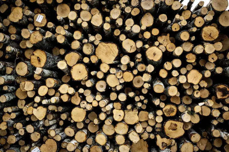 Patrik Törnroos ny i Skogsindustriers styrelse