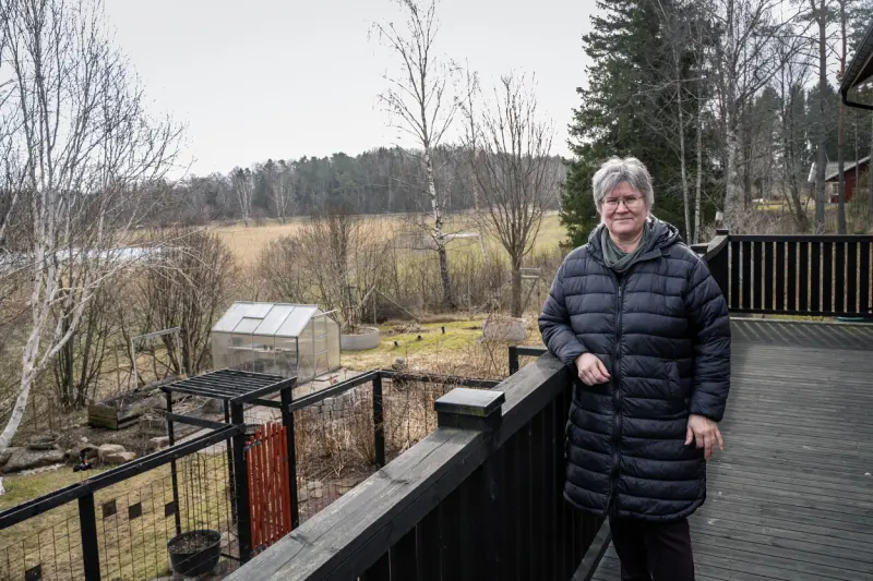 Staketet ger Anne lugn – håller rådjuren borta