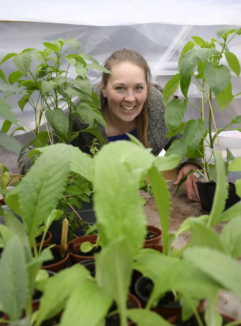 Jorden möter djuren och konsten i Saras liv