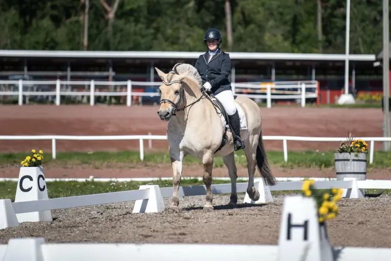 14 ekipage gjorde upp i dressyr