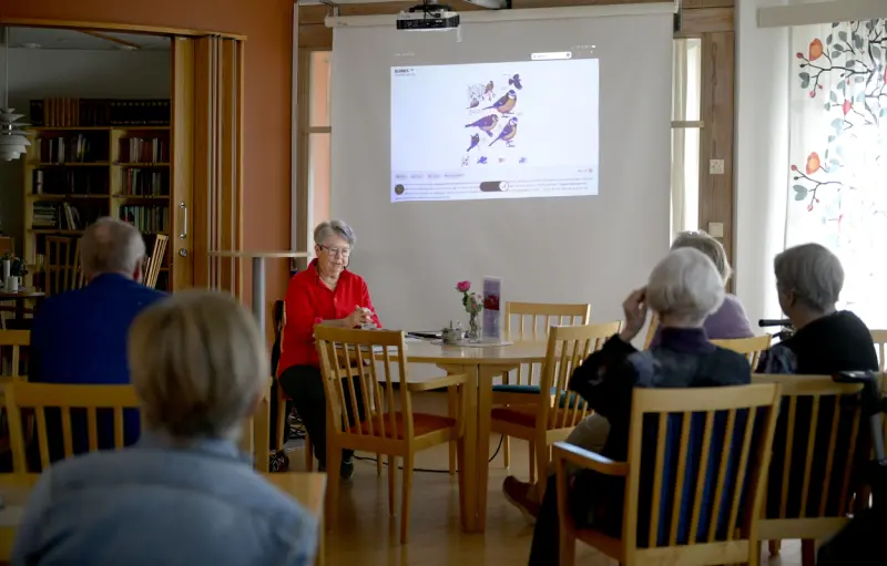 Fågelentusiasten Anki berättar om vårens fåglar
