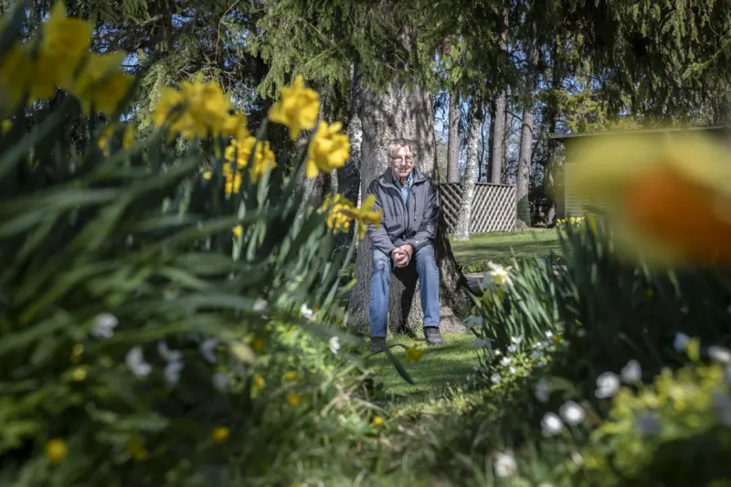 Hos Lennart lyser 4.000 narcisser upp trädgården
