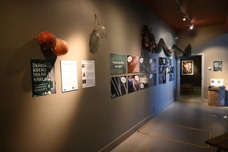Jakt- och fiskemuseet går under ytan
