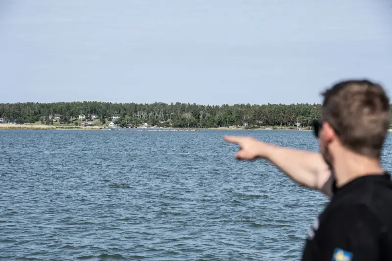 ”Det luktar piss” – nu vill staden stoppa skarvarnas framfart