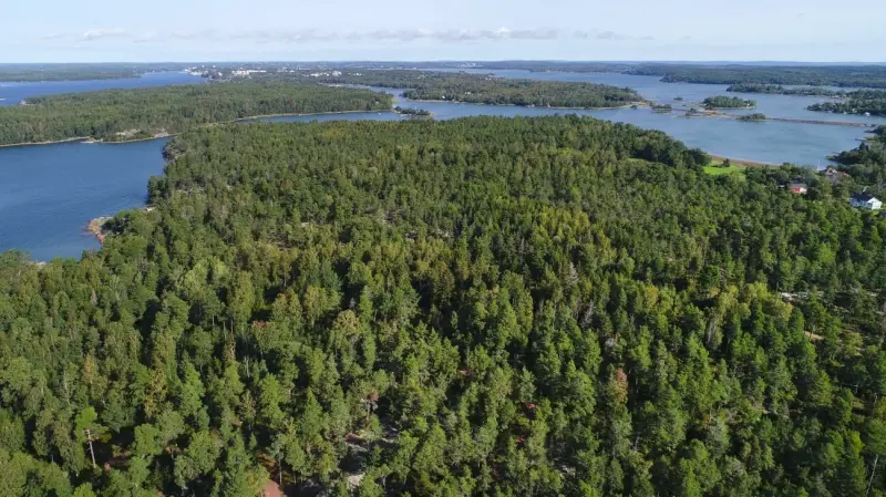 Varifrån kommer förleden Skobb- och Tull-?