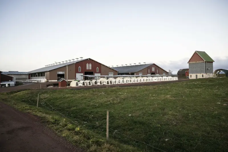 Haga kungsgård fortsatt belagd med kvarstad